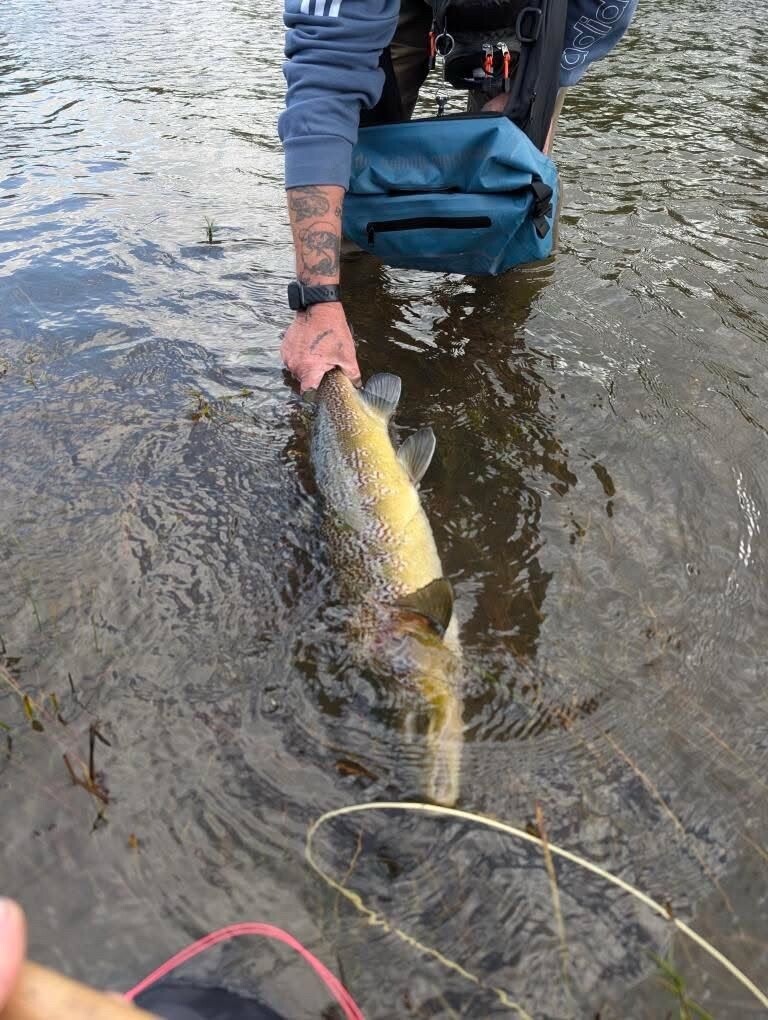Builth Town Water - Ross James